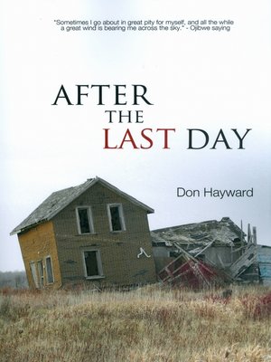 cover image of After the Last Day